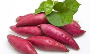 红薯 拔丝地瓜 紫米红薯糕 豆沙红薯丸 芝士焗番薯