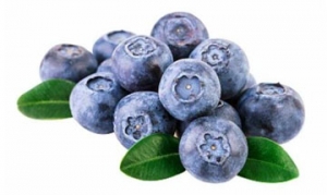 蓝莓 蓝莓蛋挞 奇异子布丁 蓝莓酱 蓝莓果冻