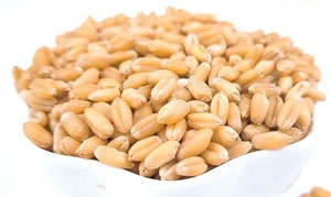 小麦 五指毛桃小麦汤 玉米小麦豆浆 养生配方杂粮米糊