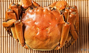 岳阳云溪白泥湖大螃蟹