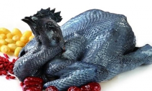 乌鸡 黑豆首乌煲乌鸡汤、花旗参乌鸡汤、冬虫夏草炖乌鸡、板栗乌鸡汤 ... ...