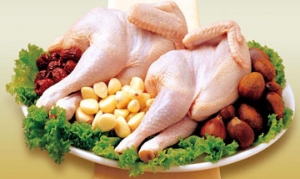 童子鸡 童子鸡烧毛豆、玉米焖鸡块、海带焖鸡块、脆皮烧鸡、重庆鸡公煲 ... ...