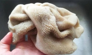 羊肚 水煮羊肚丝、滋补羊肉炉、爆炒羊肚、孜然泡椒爆羊肚