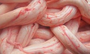 猪骨髓 骨髓花肉白菜炖豆腐