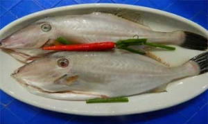 扒皮鱼 家常扒皮鱼、鱼汤炖豆腐、私房酱烤扒皮鱼