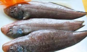 龙利鱼 葱油龙利鱼、龙利鱼糕、照烧龙利鱼