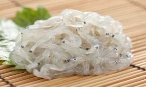 吻仔鱼 吻仔鱼煎蛋、九层塔小鱼嫩蛋煎