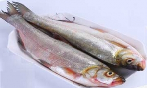 刁子鱼 酱烧刁子鱼、家常烧刁子鱼、豆瓣烧鱼