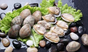 蛤蜊 蛤蜊葫芦汤 蛤蜊豆腐汤 罗勒炒蛤蜊