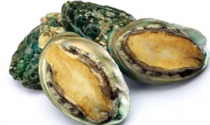 鲍鱼 香菇烧鲍鱼 蒜茸烤鲍鱼 鲍旺财披萨