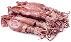 鱿鱼 豆酱鱿鱼 茶香鱿鱼 铁板鱿鱼 双椒鱿鱼