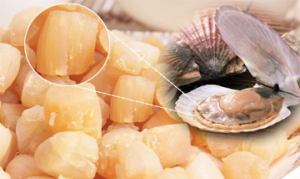 瑶柱 瑶柱东瓜汤 瑶柱鸡丝粥 瑶柱丝瓜汤