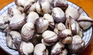 毛蚶 蒜蓉麻辣毛蚶 香葱拌毛蚶 韭菜凉拌毛蚶