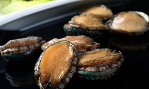 鲜鲍 鲜鲍鱼焖鸡 玛卡鲜鲍炖花胶汤