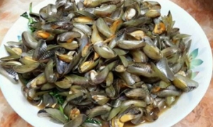 海瓜子酱爆海瓜子 辣炒海瓜子 香拌海瓜子