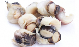 螺肉 春韭炒螺肉 辣椒炒螺头 香菇螺肉羹