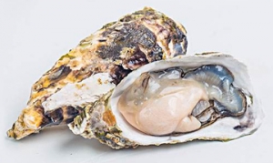 生蚝 蚝仔烙 软炒蚝蛋 酱拌生蚝 酥炸生蚝