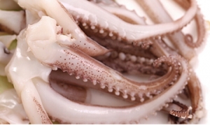 鱿鱼须 干煸鱿鱼须 三杯鱿鱼须 烤鱿鱼须