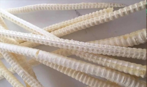 鲨鱼骨 鱼骨瑶柱竹荪汤 海带花生煲鲨鱼骨