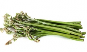 蕨菜 凉拌蕨菜 肉丝炒蕨菜 香辣蕨菜 凉拌蕨菜