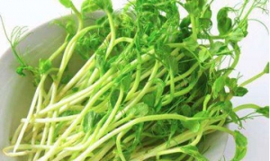 芽菜 鸡米芽菜 芽菜猪肉包 芽菜蒸肉