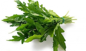 芝麻菜 黑椒玉米烧鸡翅 牛肉色拉 蔬菜沙拉