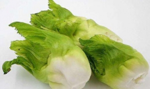 儿菜 儿菜炒木耳 儿菜炒木耳 儿菜炒鸡蛋