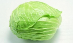 包心菜 蘑菇炒包心菜 手撕包菜 腌包菜
