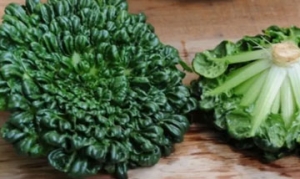 乌菜 清炒乌菜 黑木耳炒乌菜 鸡 乌菜菜碎汤