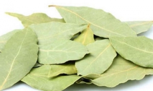 月桂叶 红酒烩牛肉 腓秀雅杂 法式炒贻贝