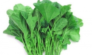 冬寒菜 蔬菜粥 蒜蓉冬寒菜 冬寒菜稀饭