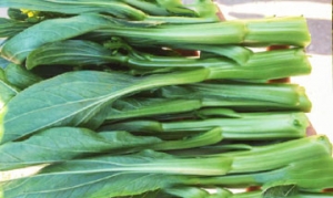 菜薹 菜苔炒鸭蛋 炝炒菜苔  腊肠炒菜薹