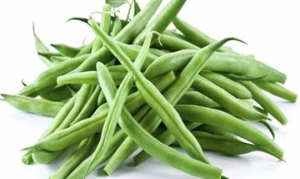 四季豆 四季豆烧排骨 豆角焖面 回锅四季豆