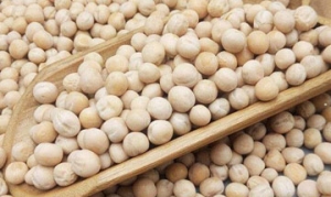 干豌豆 豌豆黄 翡翠米糕 豌豆糕饼 豌豆糕