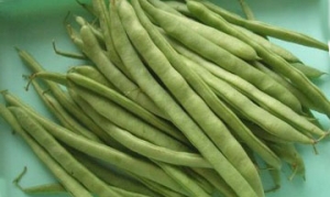 龙牙豆 肉条炒龙牙豆 龙牙豆马铃薯炖鸡