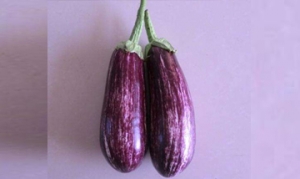 花茄子 酱拌茄子