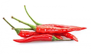 红尖椒 回锅肉 焖烧排骨 宫保鱼丁 双椒拌豆干