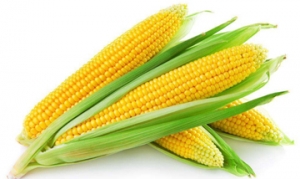 甜玉米 玉米鲜肉挞 松仁玉米 香烤玉米