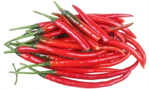 二荆条 嫩滑鸡丁 浇汁莴笋 福鼎肉片 干锅鸡翅