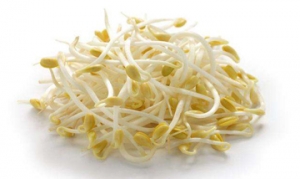 绿豆芽 火腿炒银芽  蔬菜凉面 酸辣豆芽