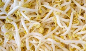 黄豆芽 家常凉面 素炸豆卷 清炒豆芽 水煮肉片