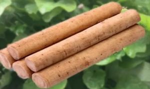 牛蒡 金平牛蒡 清炒牛蒡 牛蒡沙拉 牛蒡浓汤