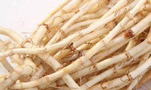 折耳根 酸辣折耳根 凉拌折耳根 折耳根汤