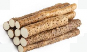 铁棍山药 紫山药花 烤山药 黄金山药条 山药馒头