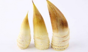 冬笋 冬笋炒腊肉 双笋炒肉丝 冬笋焖腊鸭 腌笃鲜