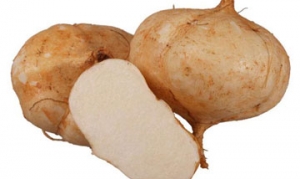 沙葛 沙葛猪骨汤 清炒沙葛片 爽脆什锦 炒沙葛