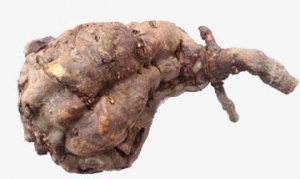 首乌 首乌黑芝麻糊 美容粥 阿胶膏 芒果腰花