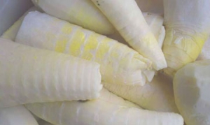 春笋 葱油笋尖 五花肉炖笋块 油焖笋 油焖春笋