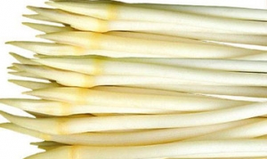 藕带 酸辣炒藕带 清炒藕带 糖醋藕带 荷塘三宝