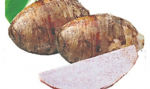 槟榔芋 焗芋泥 肉末蒸芋头 香芋蒸排骨 酿豆腐